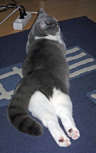 绿茵烽火连篮坛，英超争冠焦点战的跨时空投射